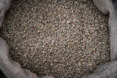 Café : les cours du grain vert reculent avec la récolte record du Brésil