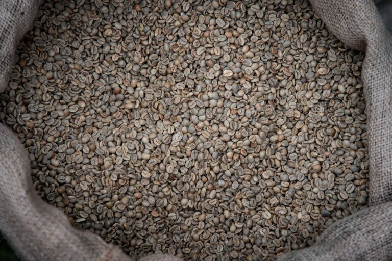 Café : les cours du grain vert reculent avec la récolte record du Brésil