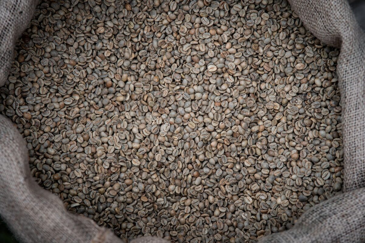 Café : les cours du grain vert reculent avec la récolte record du Brésil